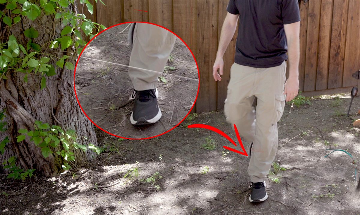 Perimeter alert line outside a fence